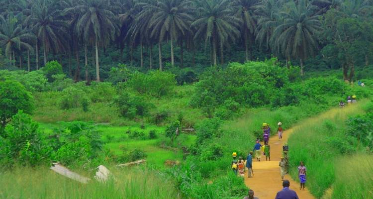 Explorer la beauté sauvage de la Sierra Leone en 7 jours - Across Africa Tours & Travel 1