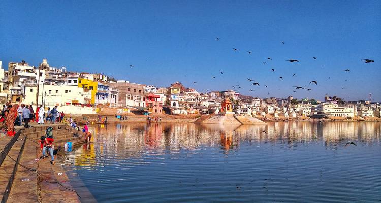 Circuit culturel de 14 jours au Rajasthan et en Inde du Nord : Delhi, Mandawa, Bikaner, Jaisalmer, Jodhpur, Ranakpur, Udaipur, Pushkar, Jaipur, Abhaneri, Fatehpur Sikri, Agra - SafeHands Travels 4