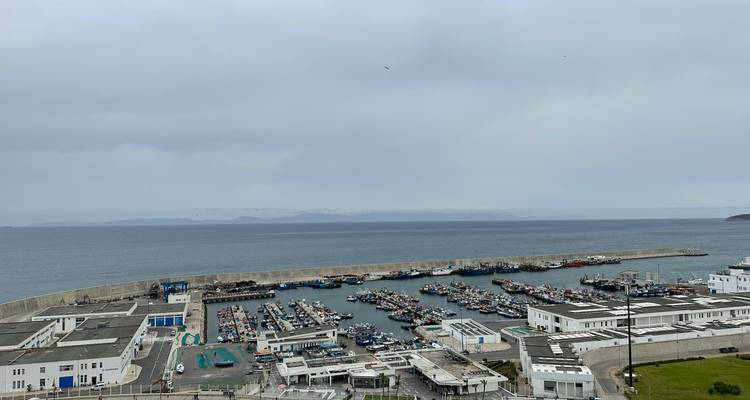 Vue d'un port avec de nombreux bateaux.