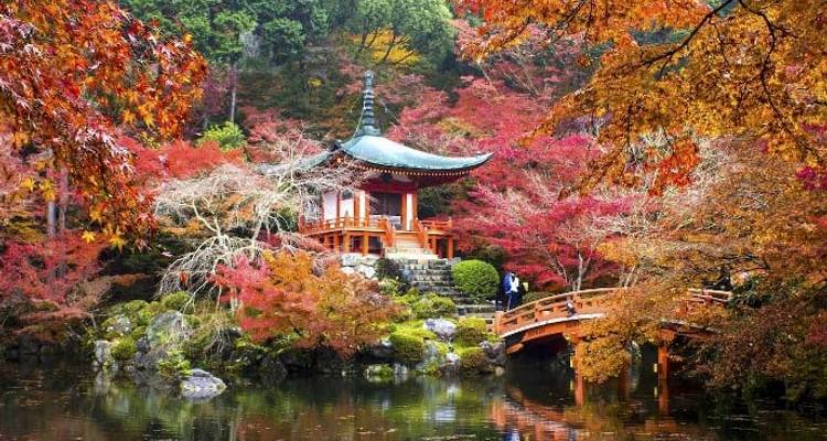 Le meilleur du Japon 2026 - Travel Talk 2
