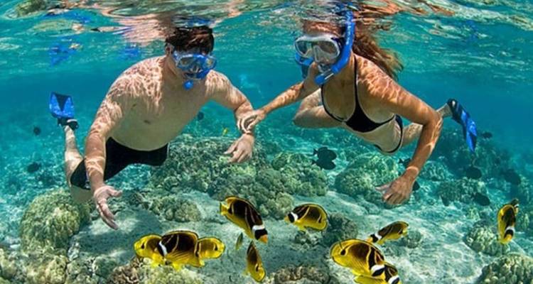 Vietnam Southern Adventure 4 jours 3 nuits Exploring Nha Trang- City tour- Mud Spa- Mun Island- Snorkeling - Go Asia Travel 2