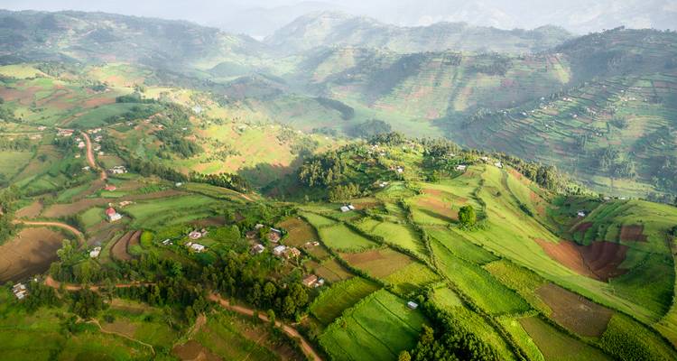 4 Days Chimps & Gorilla Trekking Experience - GoExplore Safaris 6