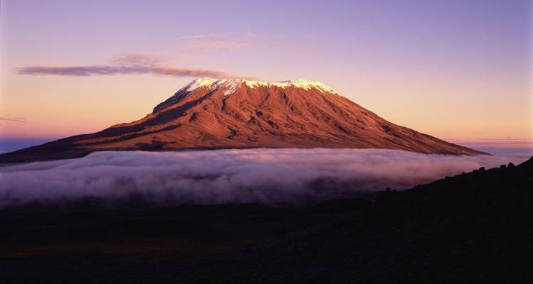 Senderismo de 7 días por la Ruta del Shira con estancia de 2 noches en hotel antes y después de la ascensión en Tanzania - Jollic Adventure Tour 3
