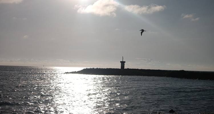 3 îles enchantées aux Galápagos - Global Land Tour International 9