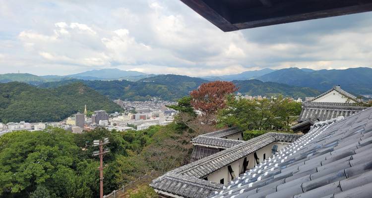 Uitzicht vanaf kasteldaken over een weelderig dal naar verre Japanse bergen en stadsgezicht.