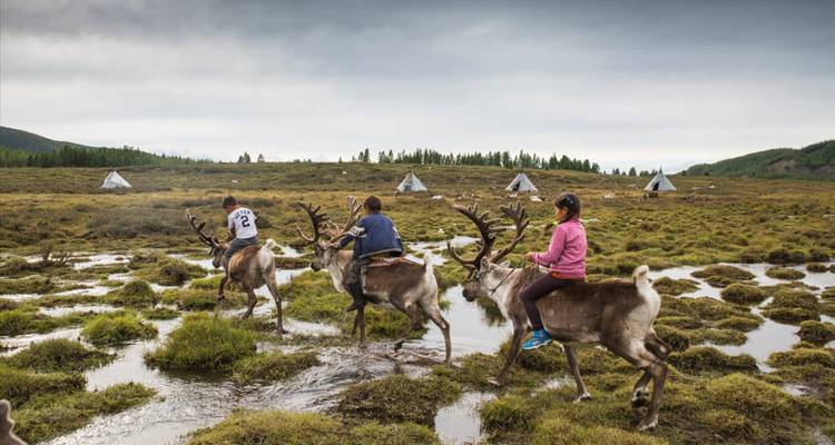 Septembre 2025 Tribu Tsaatan : Les éleveurs de rennes de Mongolie - Yellowwood Adventures Ltd 4