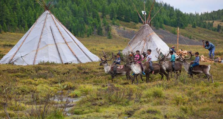 Septembre 2025 Tribu Tsaatan : Les éleveurs de rennes de Mongolie - Yellowwood Adventures Ltd 10