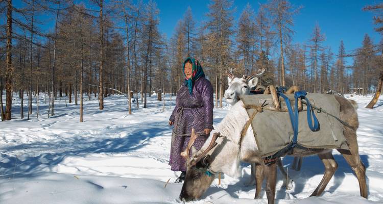 Eine Frau, die neben Rentieren in einem verschneiten Wald steht.