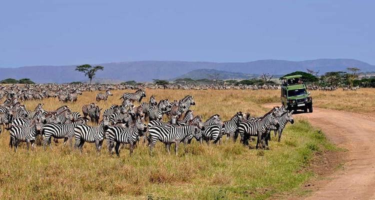 【Tanzanie】6 Jours 5 Nuits Safari Aventure Faune et Culture - Delightful Travel 3