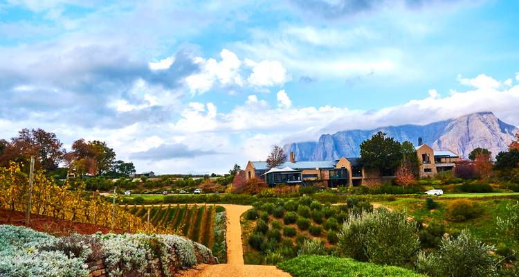 Vineyard estate with mountain backdrop.