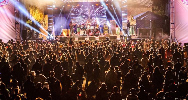 A nighttime outdoor concert with colourful stage lights and a large crowd.