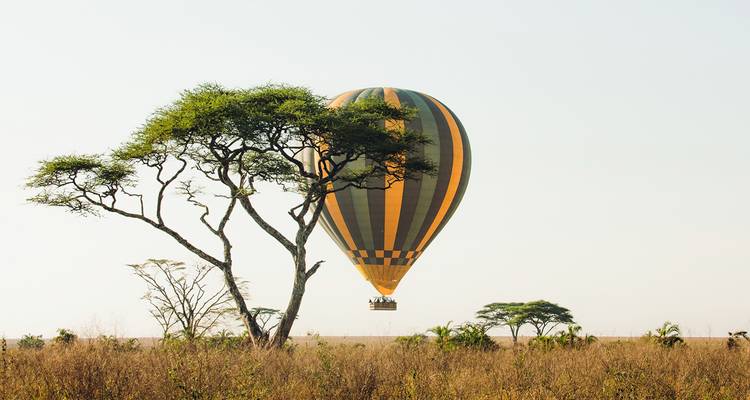 A hot air balloon floating over a savannah landscape.
