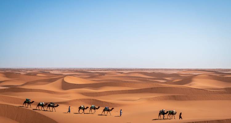 Des chameaux menés à travers un vaste paysage désertique.