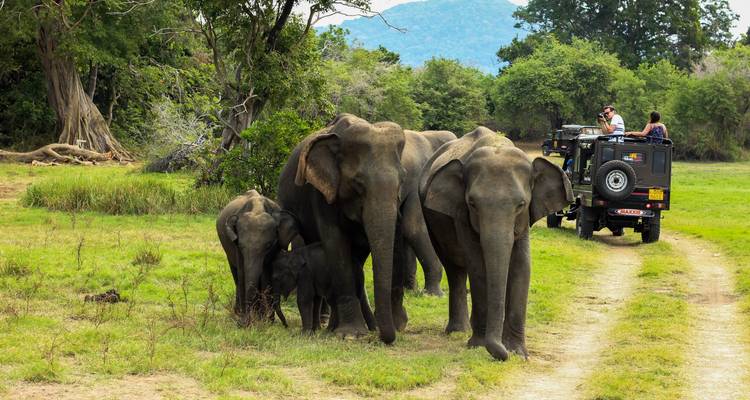 Le Kerala en bref - SafeHands Travels 2