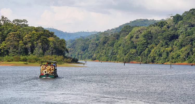 Le Kerala en bref - SafeHands Travels 3