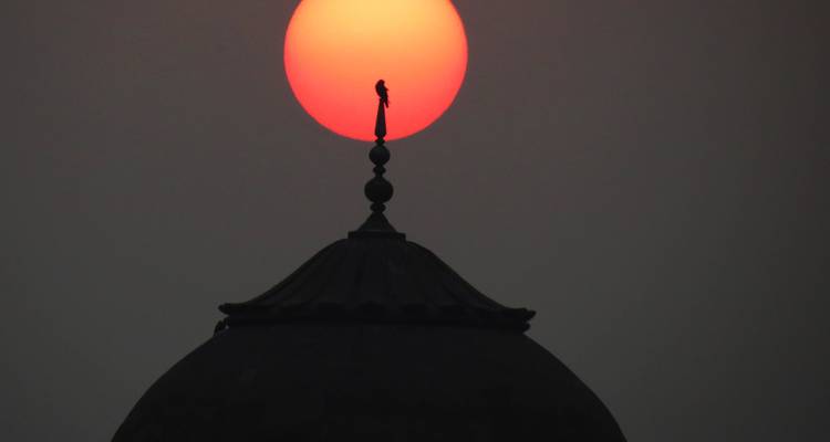 4 jours de gloire indienne : Delhi, Agra - SafeHands Travels 4