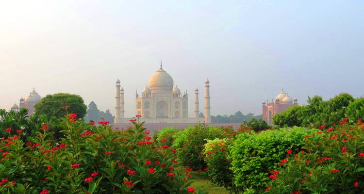 4 jours de gloire indienne : Delhi, Agra - SafeHands Travels 6