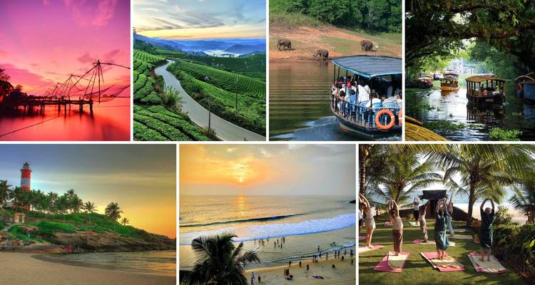 10-Day Kerala Cultural and Wellness Tour : Kochi, Munnar, Periyar, Alleppey, Kovalam - SafeHands Travels 1