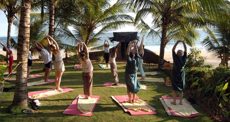 10-Day Kerala Cultural and Wellness Tour : Kochi, Munnar, Periyar, Alleppey, Kovalam - SafeHands Travels 4