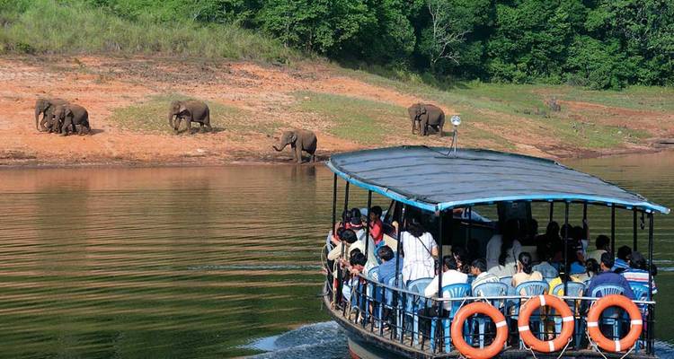 10-Day Kerala Cultural and Wellness Tour : Kochi, Munnar, Periyar, Alleppey, Kovalam - SafeHands Travels 5