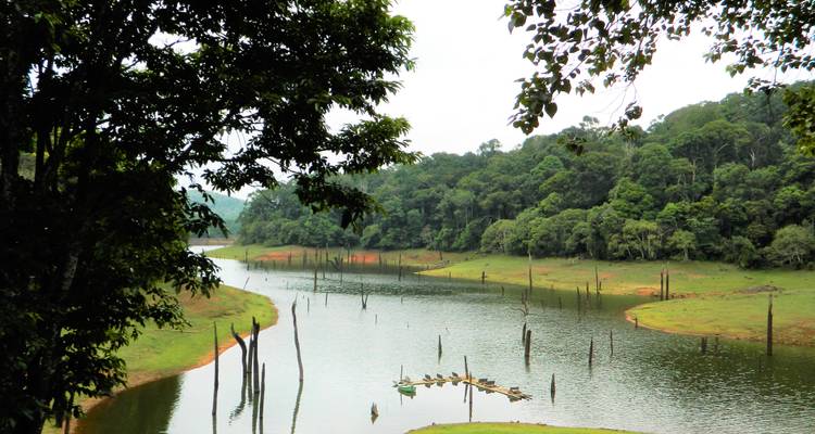 10-Day Kerala Cultural and Wellness Tour : Kochi, Munnar, Periyar, Alleppey, Kovalam - SafeHands Travels 10