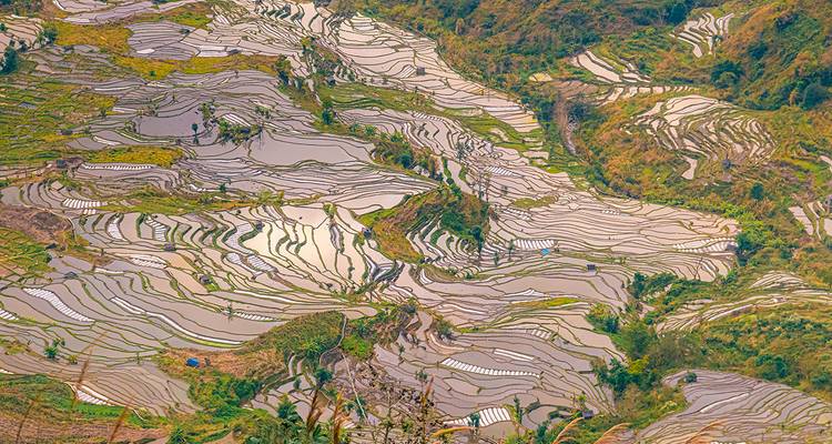 Chine - La mosaïque de traditions du Yunnan - Gebeco 3