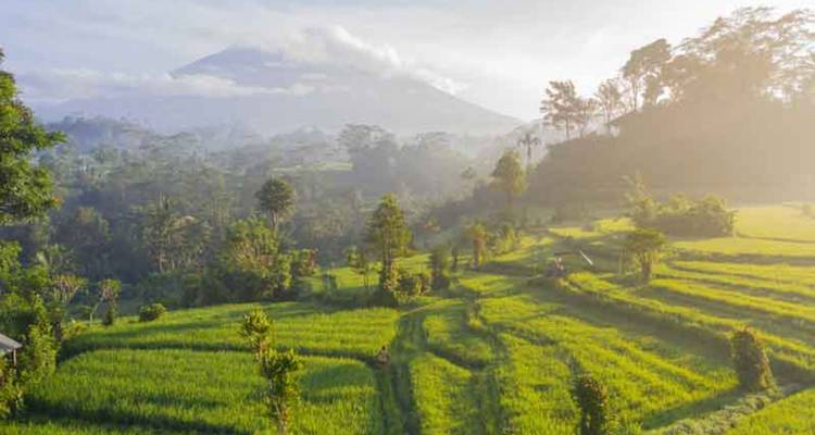 Escapade de 12 jours en Indonésie : Explorez les Sidemen de Bali, Lombok et Sanur23656542 - Vio Travel 3