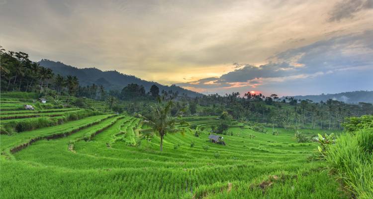 Escapade de 12 jours en Indonésie : Explorez les Sidemen de Bali, Lombok et Sanur23656542 - Vio Travel 4