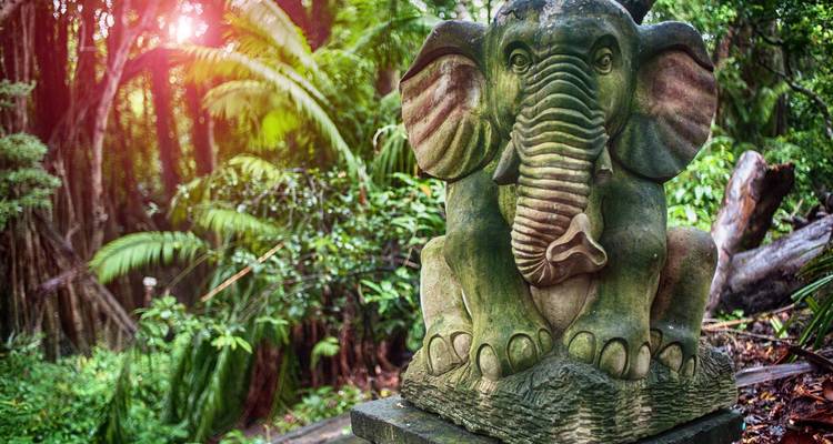 Découverte de Bali en 13 jours : Découvrez la magie de Sanur, Ubud, Lovina et Nusa Dua - Vio Travel 1