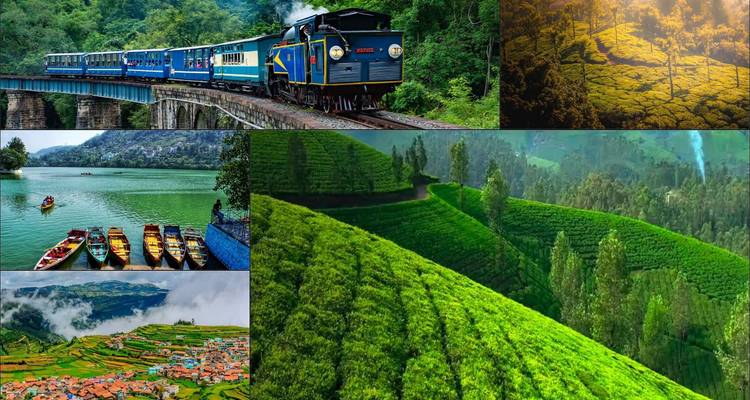 Circuit privé de 19 jours en Inde du Sud : Temples de Madurai et Thanjavur, collines de Munnar, backwaters du Kerala, Hampi et palais de Mysore - SafeHands Travels 2