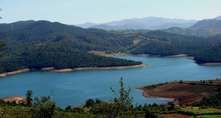 Circuit privé de 19 jours en Inde du Sud : Temples de Madurai et Thanjavur, collines de Munnar, backwaters du Kerala, Hampi et palais de Mysore - SafeHands Travels 6