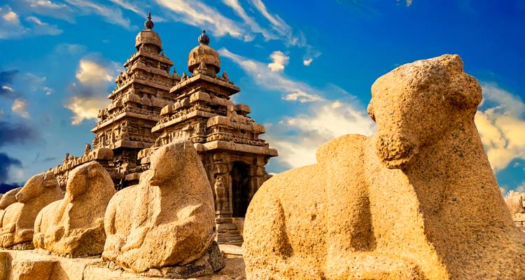 Circuit privé de 19 jours en Inde du Sud : Temples de Madurai et Thanjavur, collines de Munnar, backwaters du Kerala, Hampi et palais de Mysore - SafeHands Travels 9