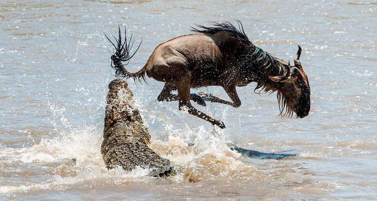 TANZANIA SOUTHERN SAFARI 8 DAYS - Johnadventures 1