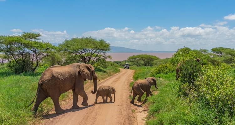 TANZANIA SOUTHERN SAFARI 8 DAYS - Johnadventures 3