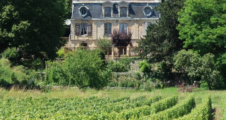 Beautiful Bordeaux 2025 - Authentic Africa 1