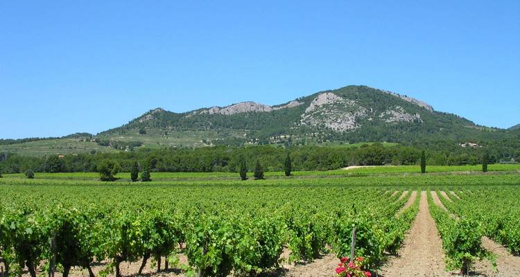 Idyllique Rhône 2025|2026 - 8 jours - Authentic Africa 2