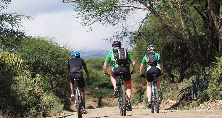 Drie mountainbikers rijden over een zandpad door acaciabos aan de voet van de Kilimanjaro.
