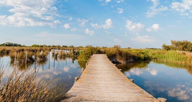 All the must-see sites on the Rhône between Lyon, Provence, and the Camargue with a dinner at Paul Bocuse's Abbaye de Collonges Restaurant OFFERED (including Vienne) - Authentic Africa 1