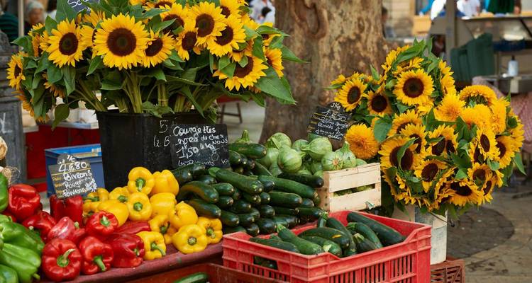 All the must-see sites on the Rhône between Lyon, Provence, and the Camargue with a dinner at Paul Bocuse's Abbaye de Collonges Restaurant OFFERED (including Vienne) - Authentic Africa 2