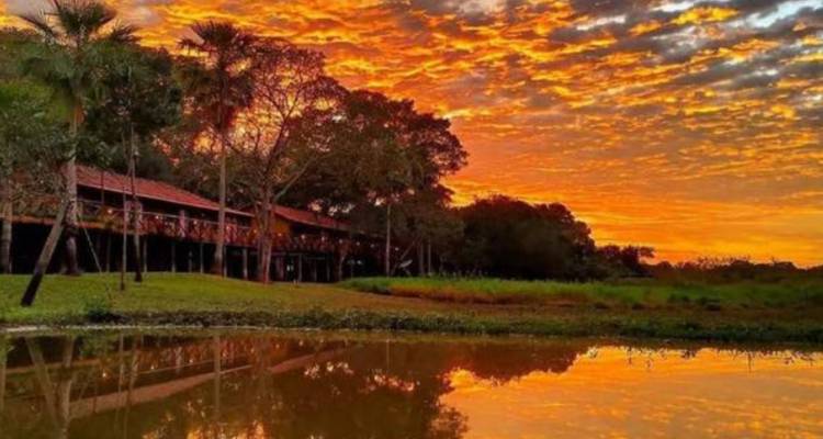 Découverte du Pantanal (4 jours) - Hi Travel Argentina 5