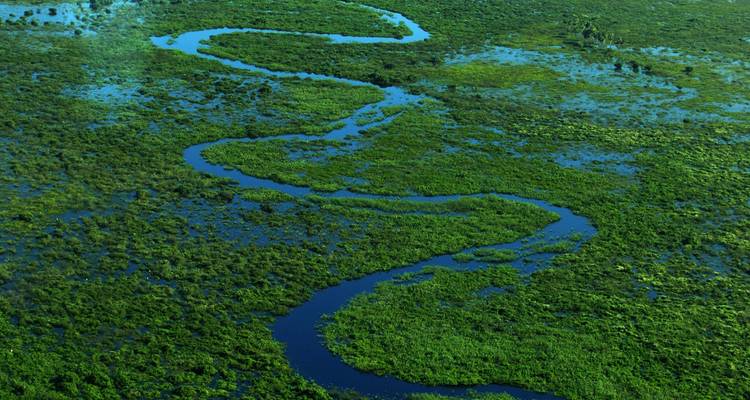 Découverte du Pantanal (4 jours) - Hi Travel Argentina 2