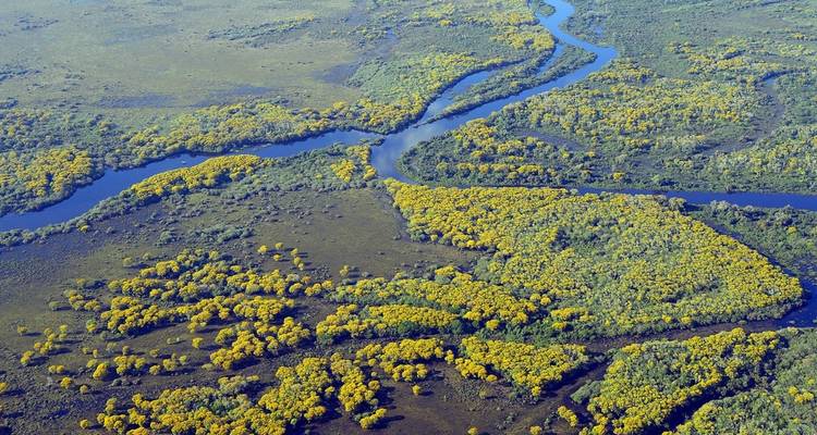 Découverte du Pantanal (4 jours) - Hi Travel Argentina 4