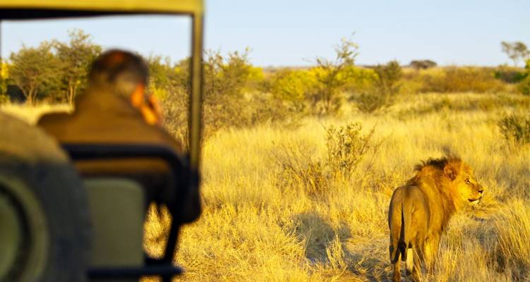 Desert, Rock Paintings and Victoria Falls (42 destinations) - DIAMIR Erlebnisreisen 8