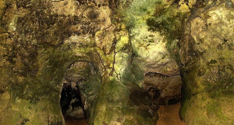 Manaus and Amazonas Eco Adventure (6 Days) - Hi Travel Argentina 2