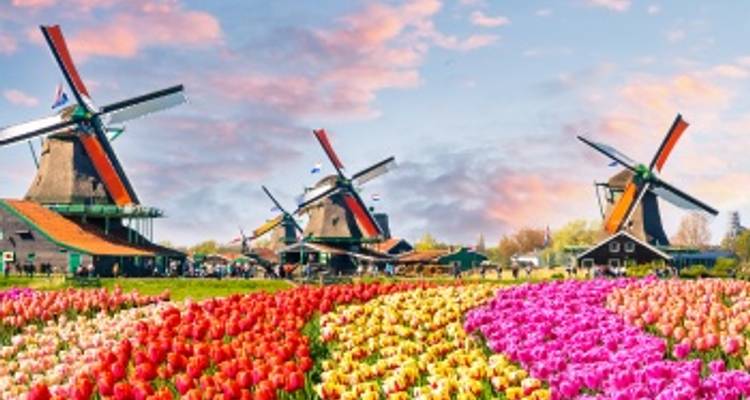 Les Trésors du Nord - A travers deux pays extraordinaires : La Belgique et les Pays-Bas (croisière de port à port) - CroisiEurope River Cruises 3