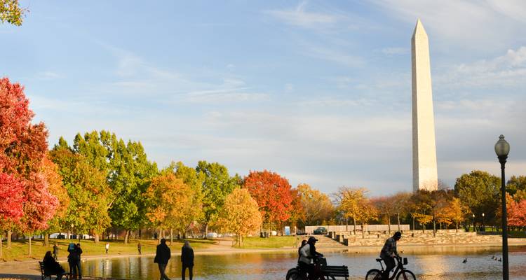 Washington Monument umgeben von Herbstlaub.