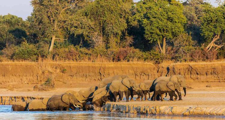 【Zambia】12-Day Luxury South Luangwa, Lower Zambezi & Victoria Falls Safari Tour Package - Delightful Travel 10