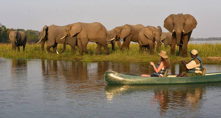 【Zambia】12-Day Luxury South Luangwa, Lower Zambezi & Victoria Falls Safari Tour Package - Delightful Travel 8