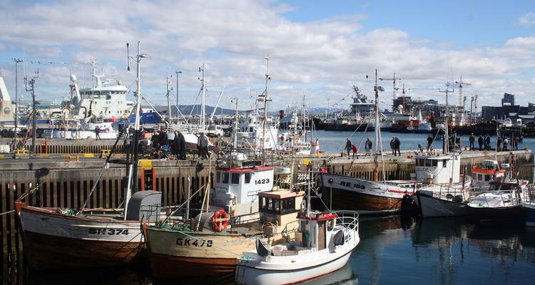 Des bateaux de pêche amarrés au port.
