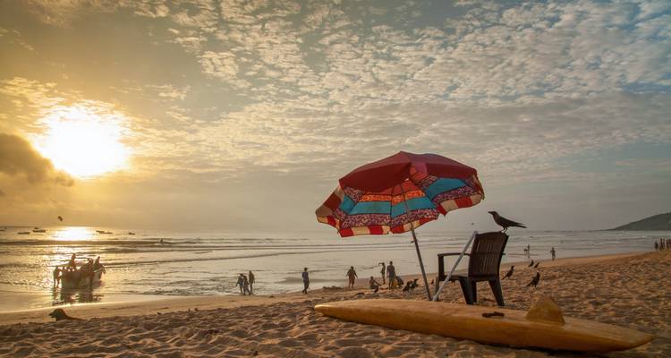 Circuit de 4 jours sur la côte de Goa - SafeHands Travels 2